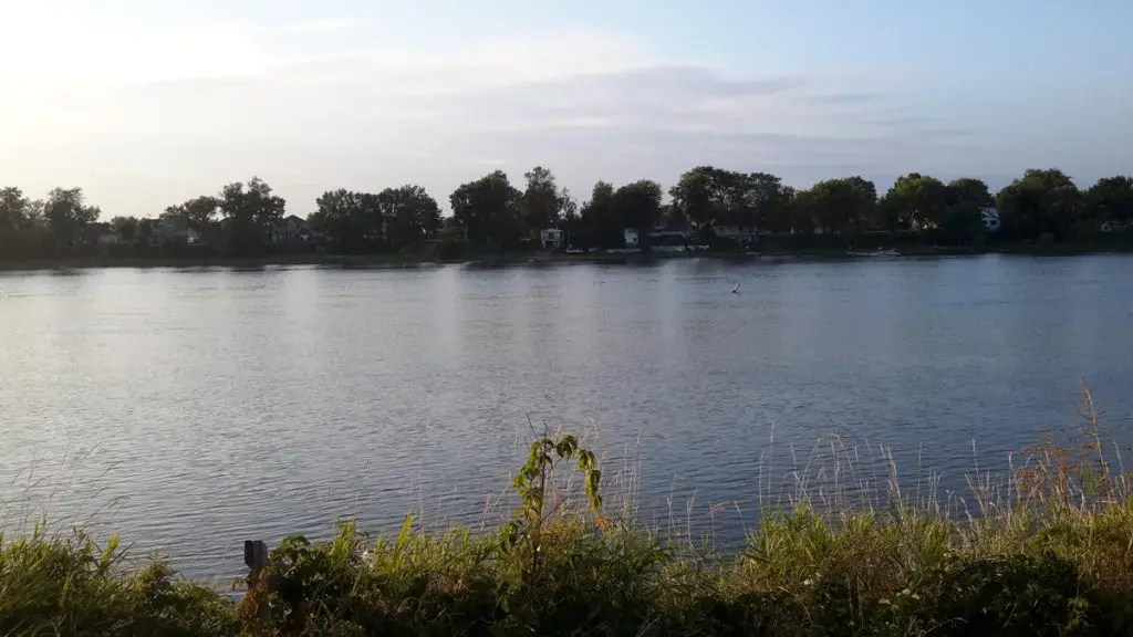 Vue paisible sur une rivière bordée d’arbres et de maisons, avec herbes sauvages au premier plan